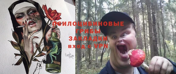 гашик Абаза