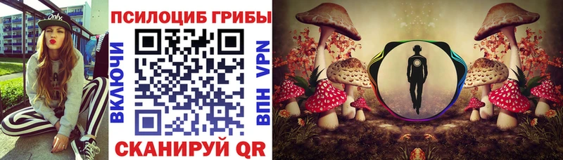 Галлюциногенные грибы прущие грибы купить сайты Татарск