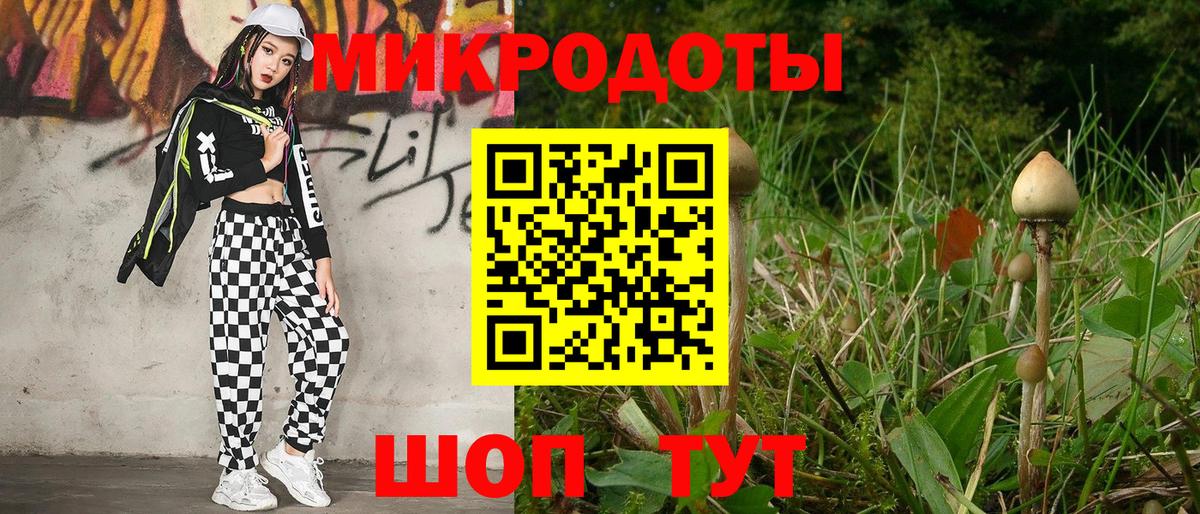 Псилоцибиновые грибы мицелий  Псилоцибиновые грибы ЛСД  где можно купить наркотик  Татарск  Вход с VPN 