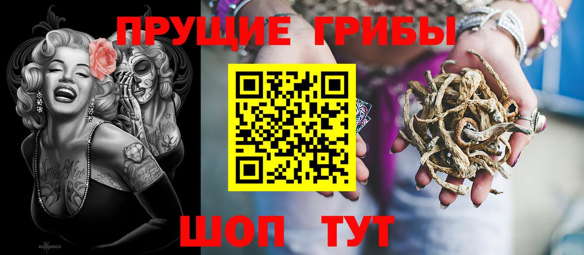 Псилоцибиновые грибы Cubensis Татарск